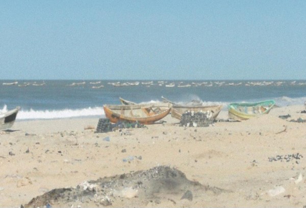 Un projet de loi pour la gestion intégrée du littoral