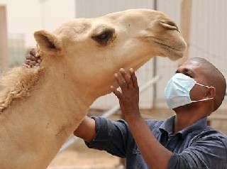 Une étude scientifique identifie les foyers de risque de la fièvre de la vallée du Rift en Mauritanie