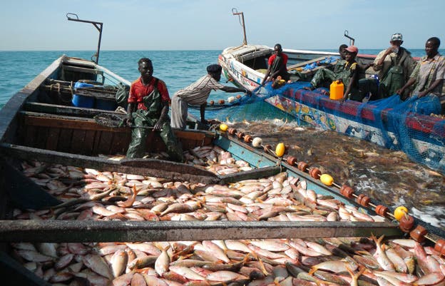Nouvelle série de négociations mauritano-européenne pour le renouvellement de l’accord de pêche