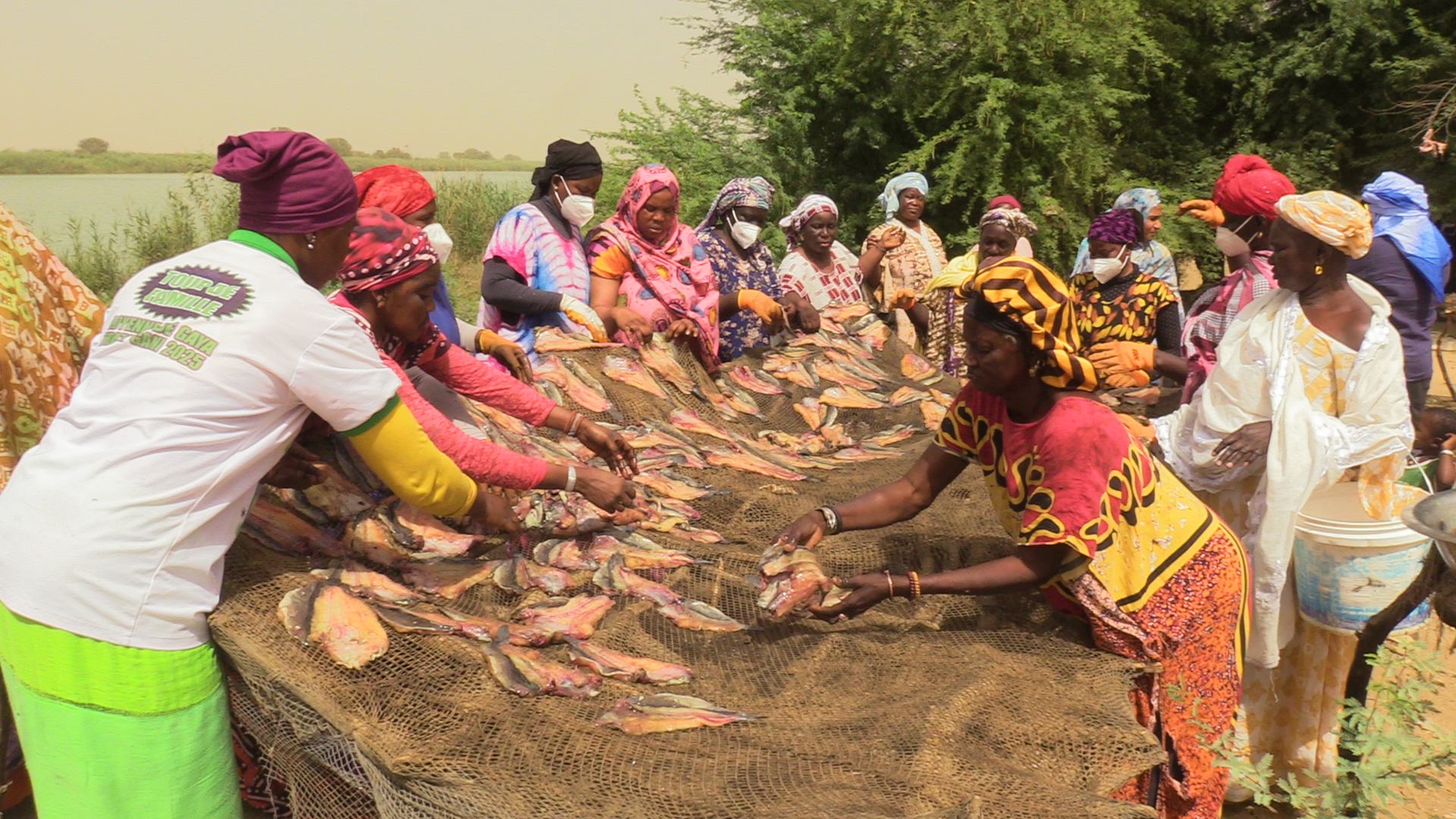 Le ProSSALM bâtit la résilience des communautés en Mauritanie