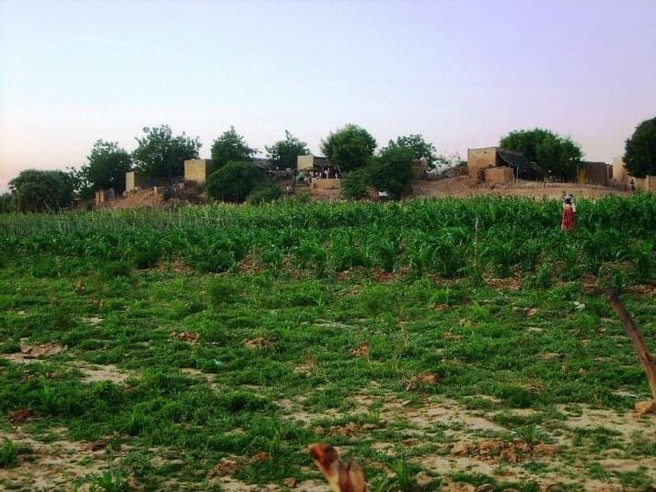 Foncier agricole à M’Bagne : les propriétaires terriens de Walodiane dénoncent un projet d’expropriation et interpellent l’État